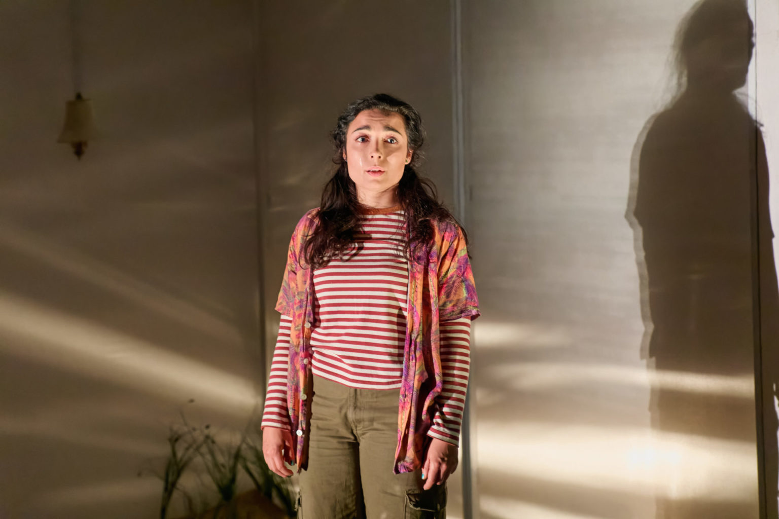 Imrie Sherman Theatre