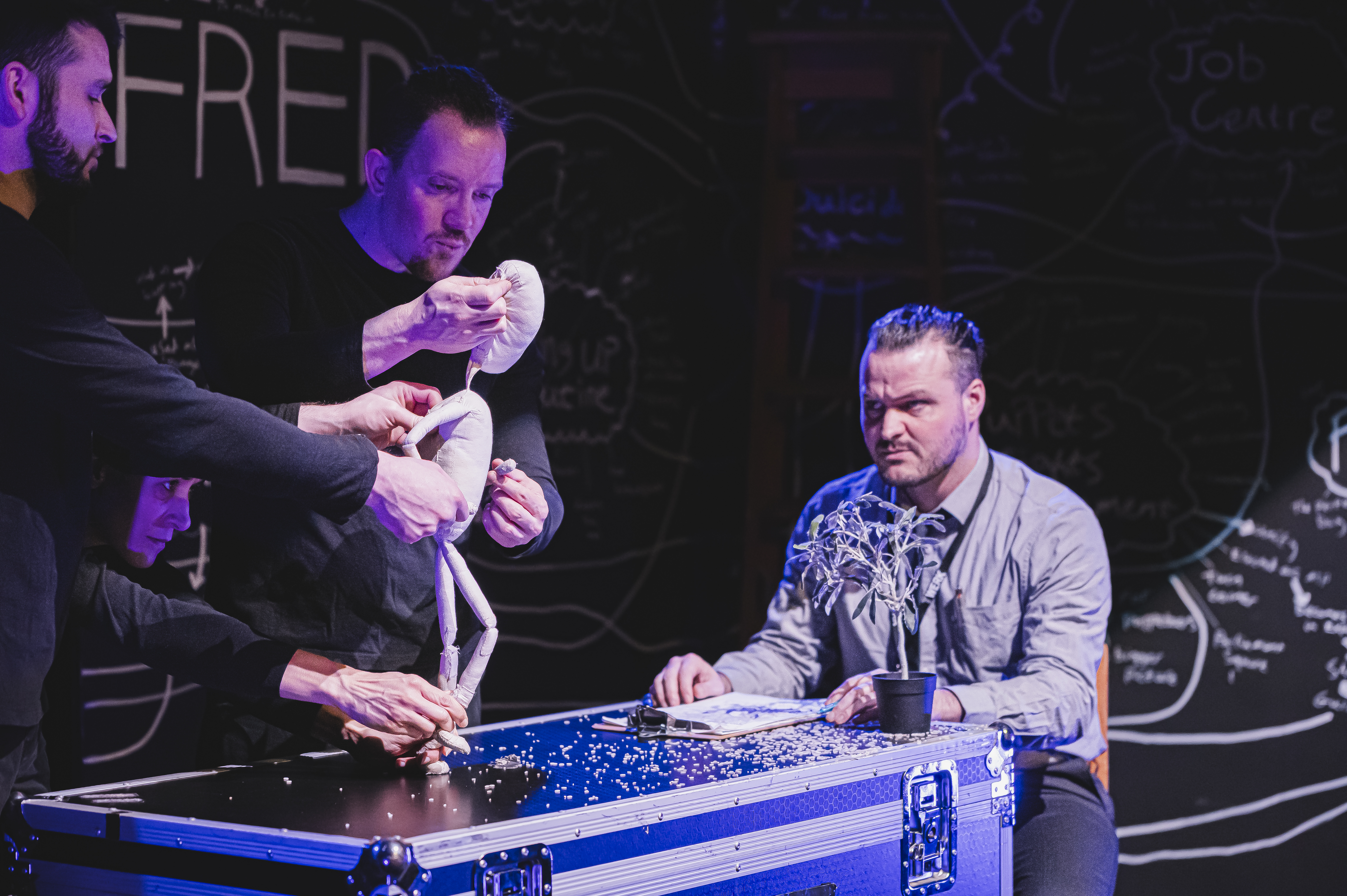 Credit: Kirsten McTernan